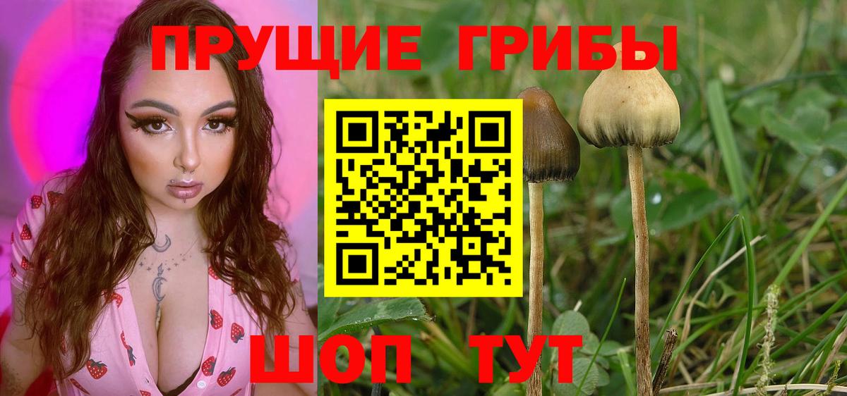 Галлюциногенные грибы MAGIC MUSHROOMS Соль-Илецк
